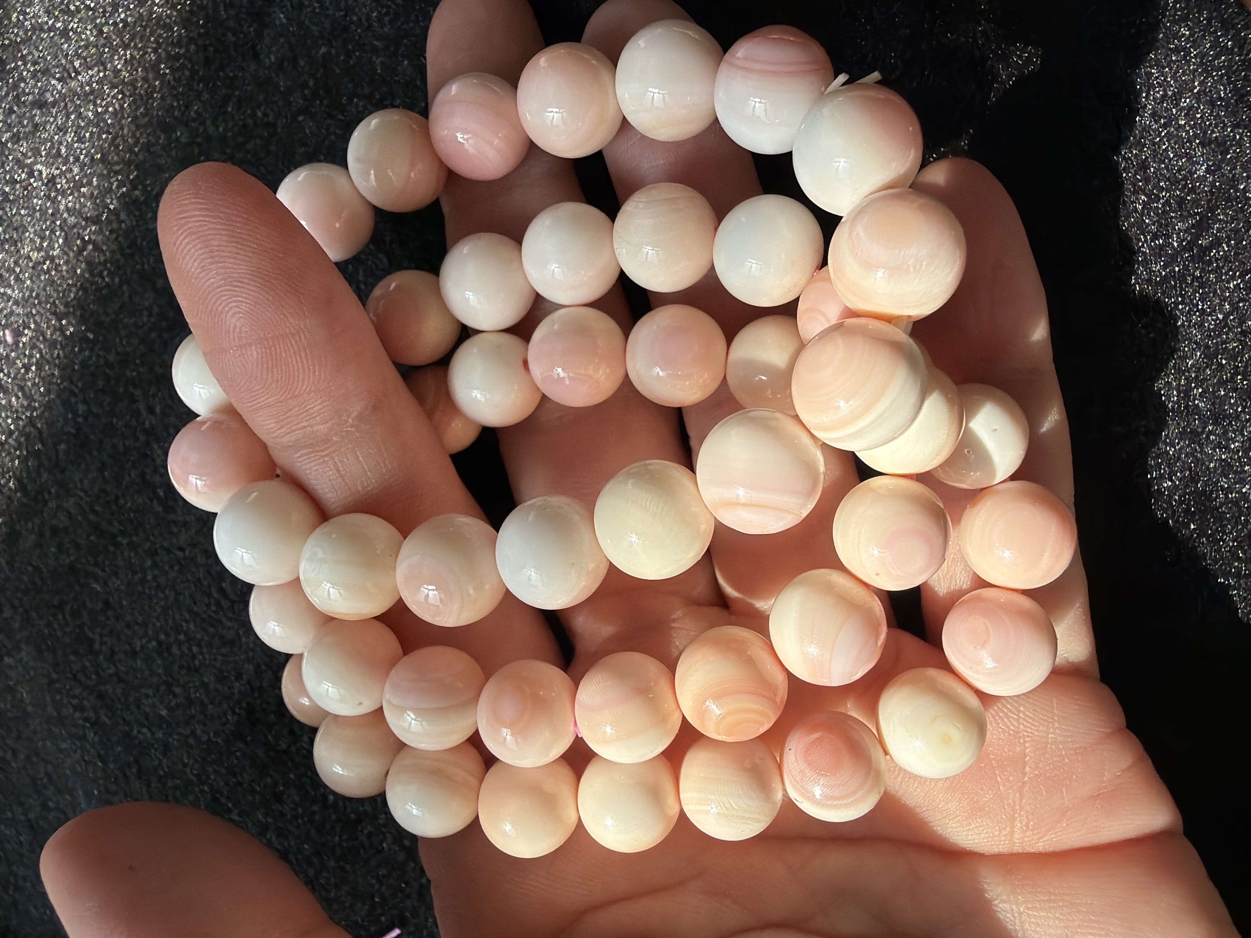 8mm純天然墨西哥女皇貝手串 (隨機發貨)