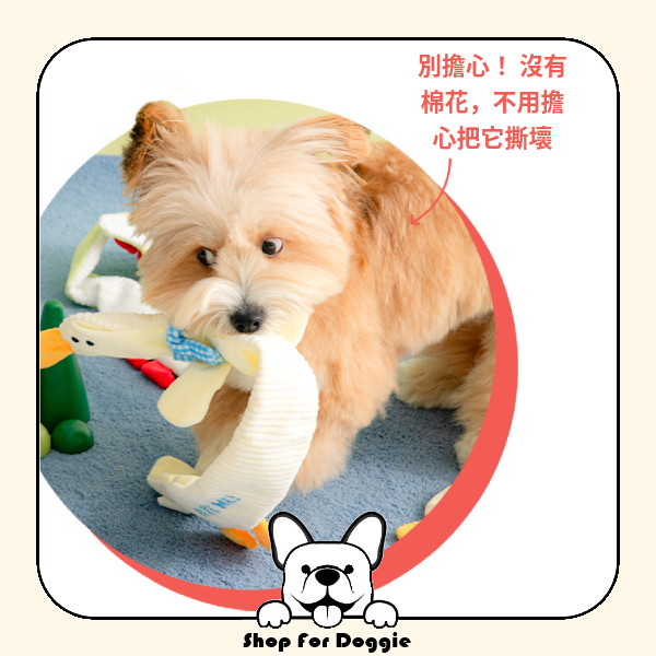 韓國 Bite Me Long Longs拖拉玩具