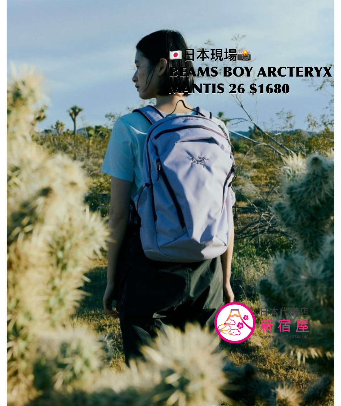 BEAMS BOY x ARCTERYX MANTIS 26