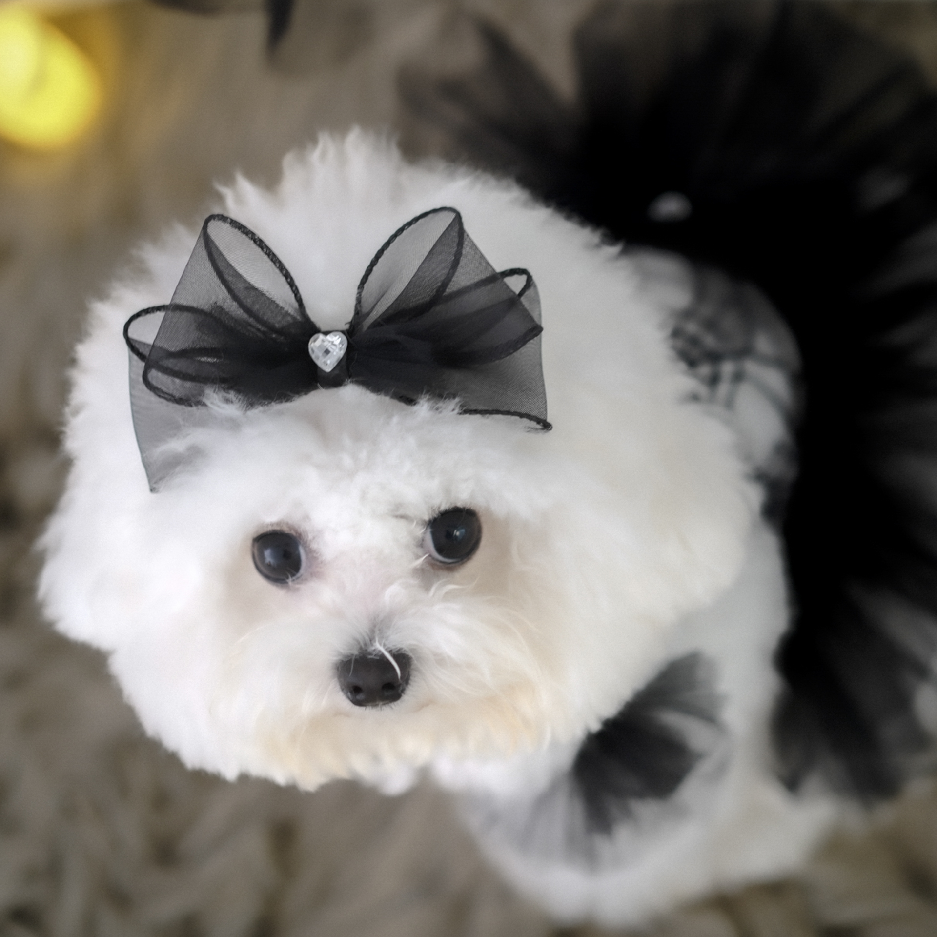 🎃Haunted Castle – Scarlet Heart Hairpin