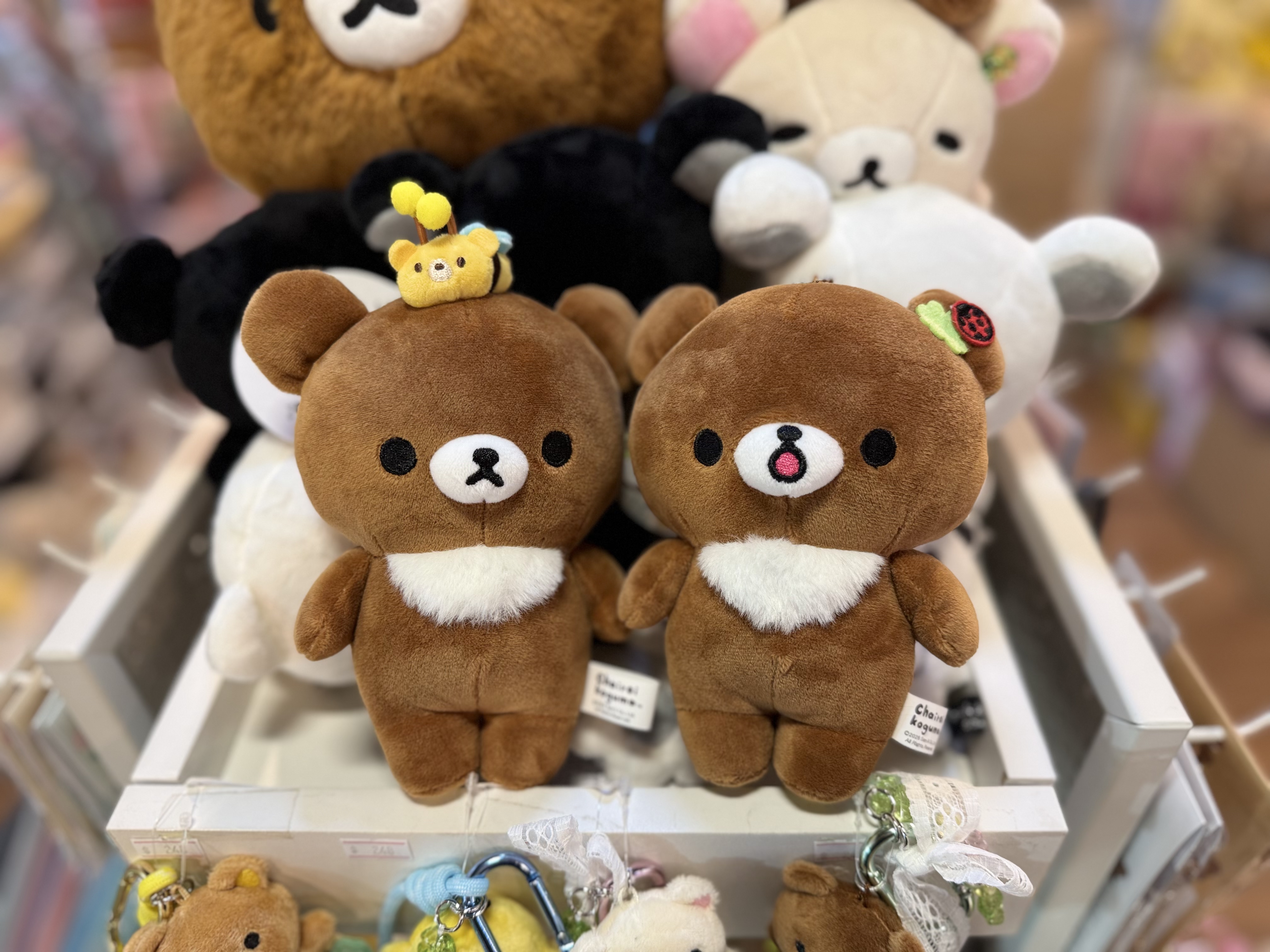 《現貨》全新日本限定小熊10週年紀念系列 茶小熊公仔型小物袋