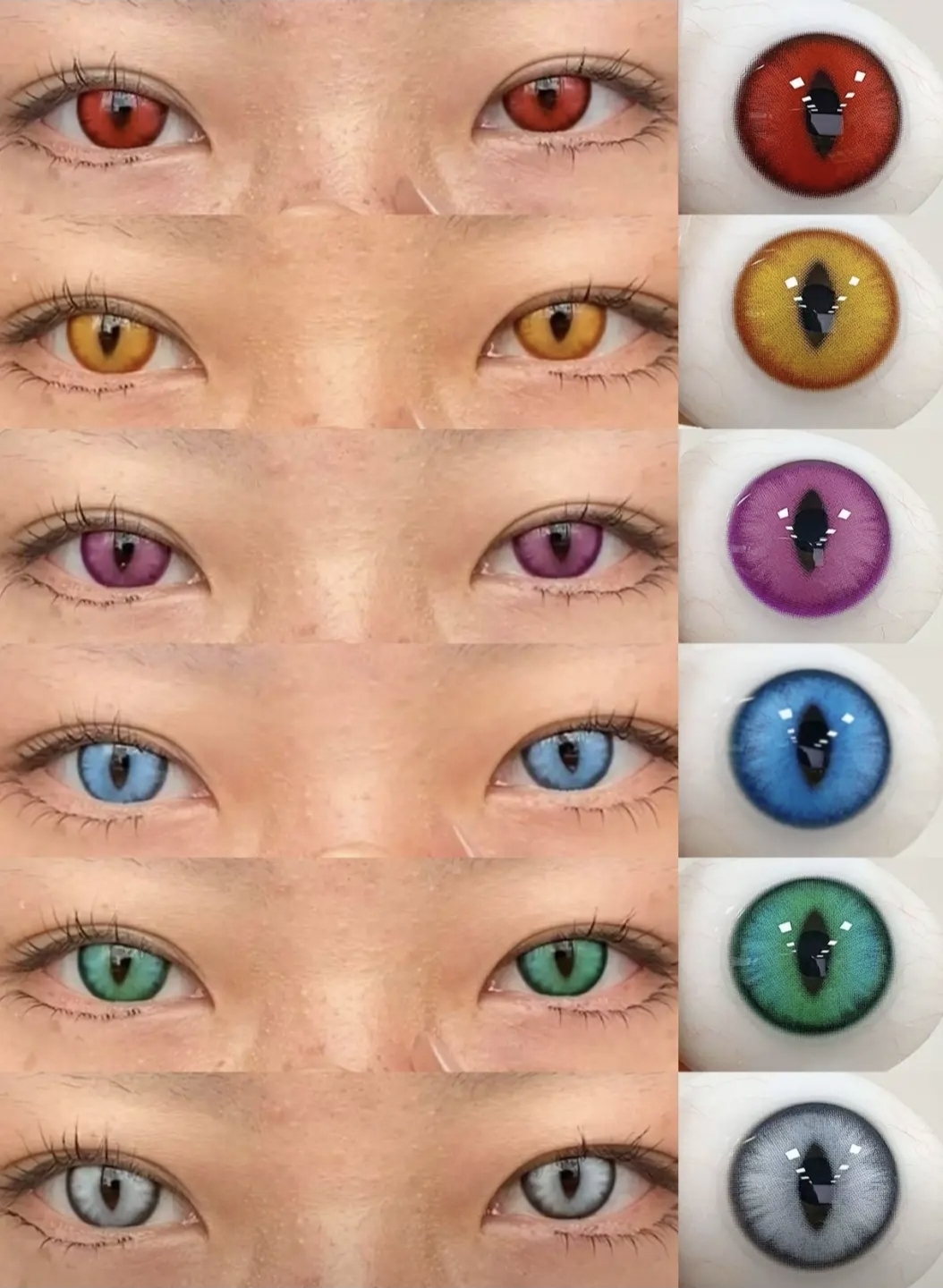 Doya 日拋2片 龍之目定軸版