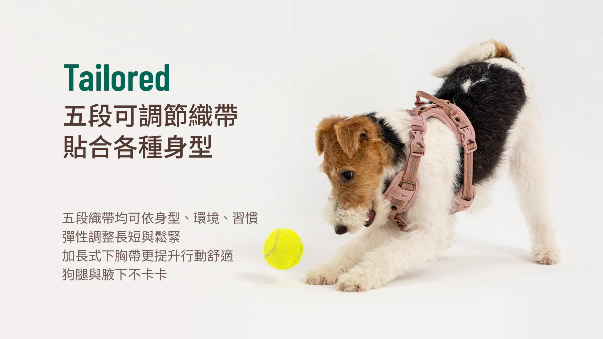HORHORJOY 胸背帶 (鉑金款 紫)