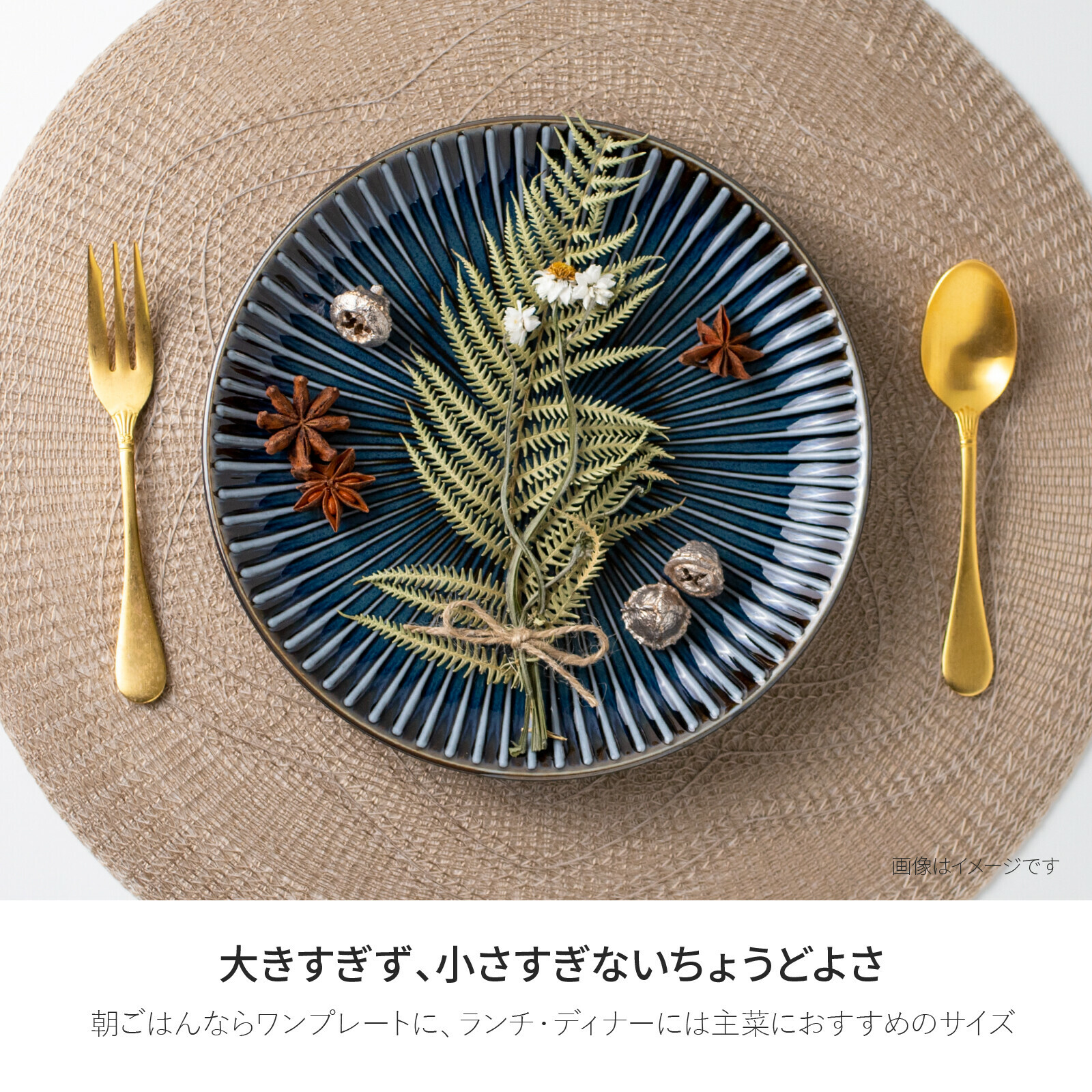 美濃燒 窯變 SENDAN 20.7cm 碟