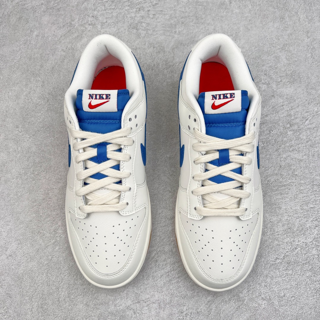 Nike Dunk Low DX3198-133