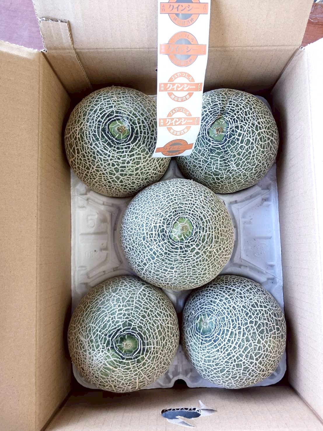 【🇯🇵🐻熊本赤肉蜜瓜🍈 】中型size(約1kg) 