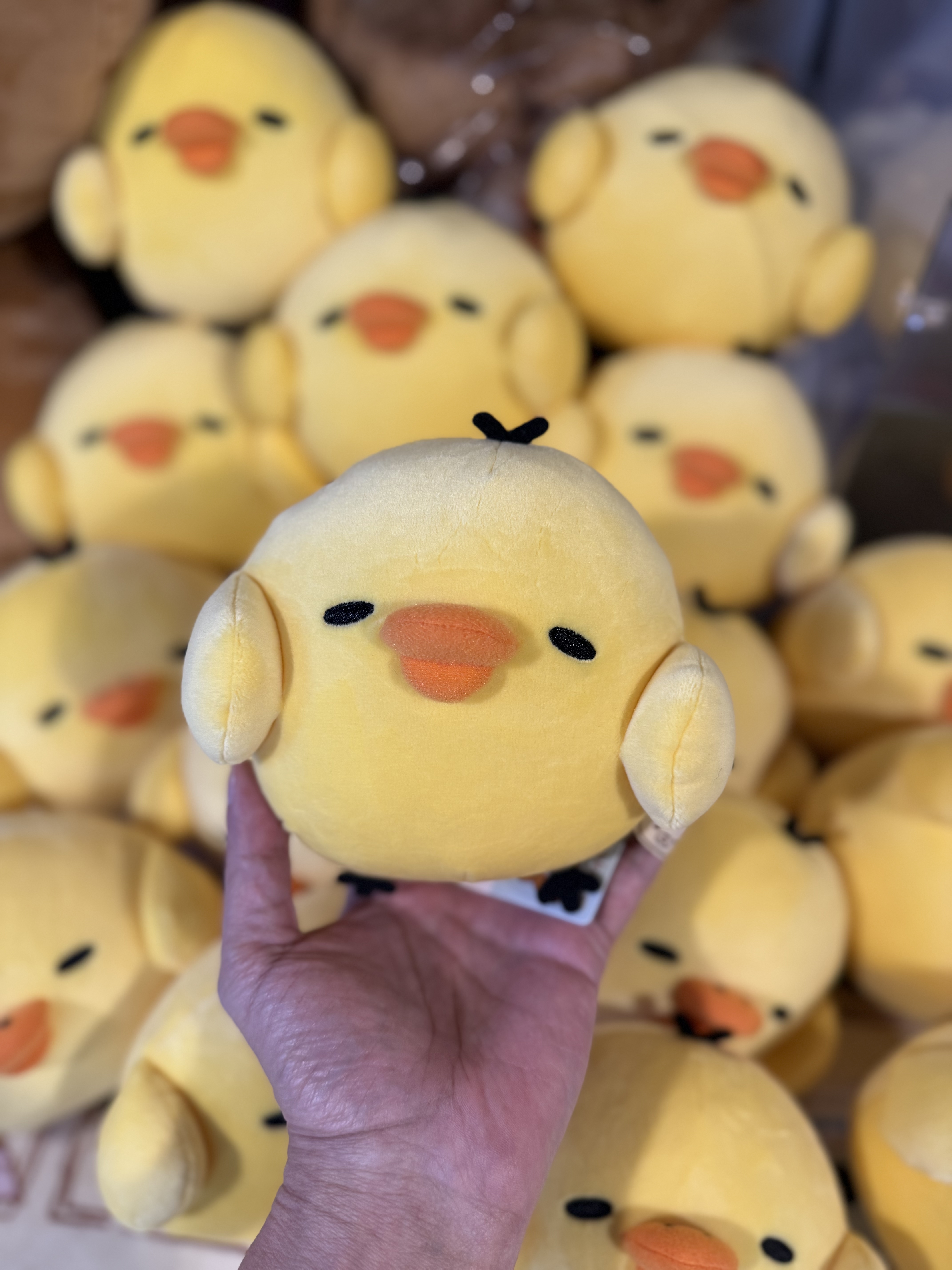 《現貨》全新小雞側頭眯眼公仔