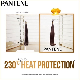 Pantene Shampoo 170ml / DAILY MOISTURE
