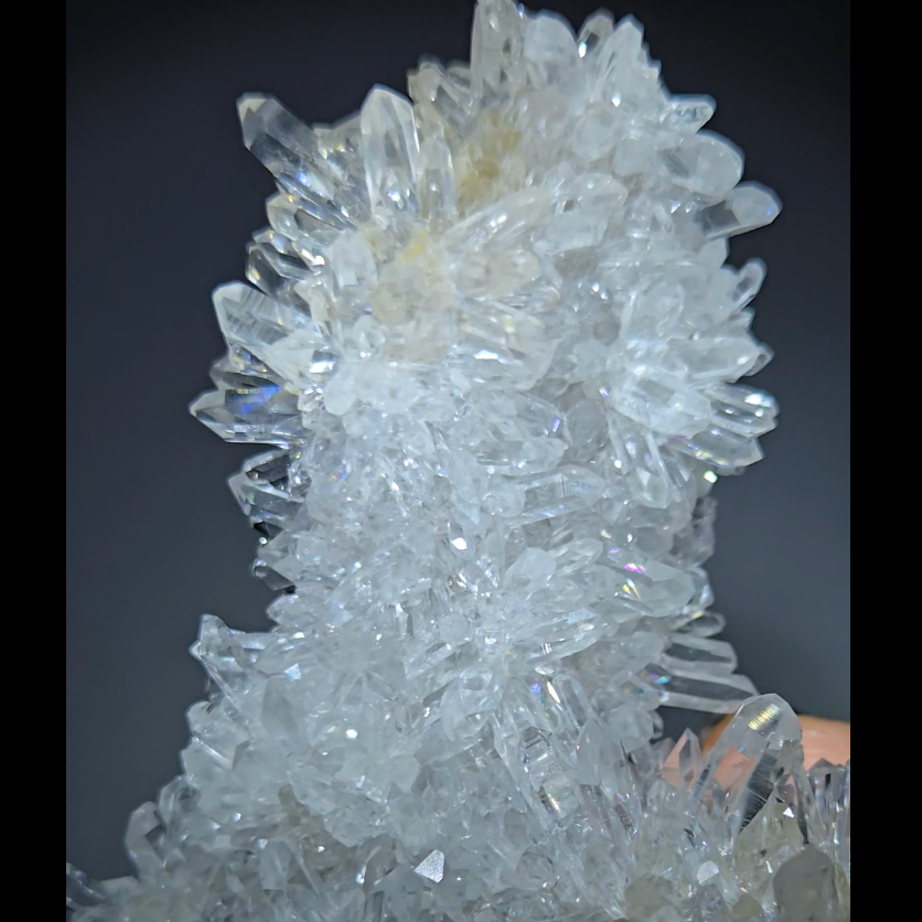 Chrysanthemum needle quartz with floral blooms - CQ486