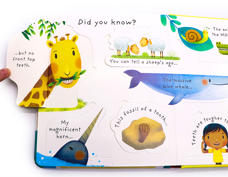 Usborne First Questions and Answers系列翻翻書Why Should I Brush My Teeth? 我為什麼要刷牙
