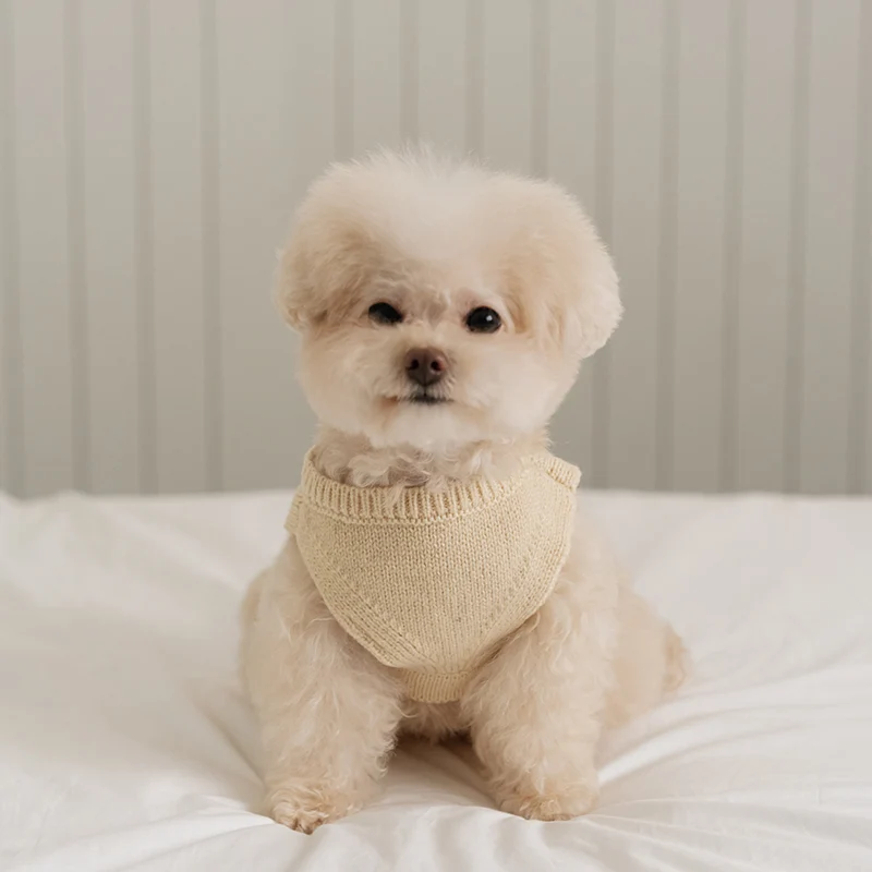 Bite Me🇰🇷SSFW Tiny Garden Knit Bib 針織小花園口袋背心 (3色)