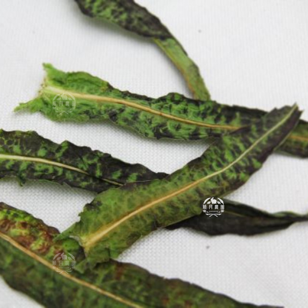 台灣順月農園 嫩莖萵苣 / 油麥菜-台灣品種