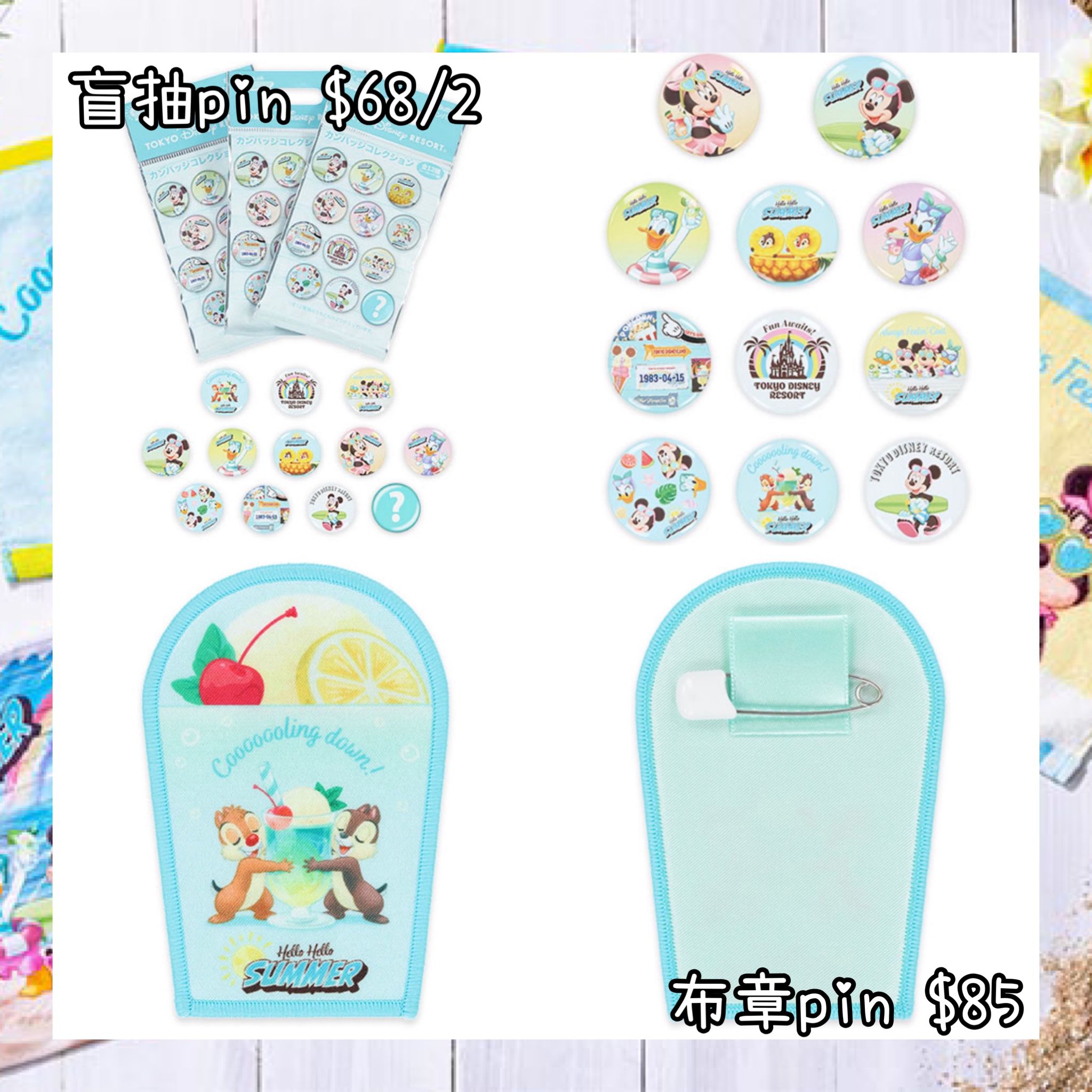 ：日本：DISNEYLAND園區產品HELLO HELLO SUMMER! 11/6 日本發賣 盲抽 PIN 布章 PIN