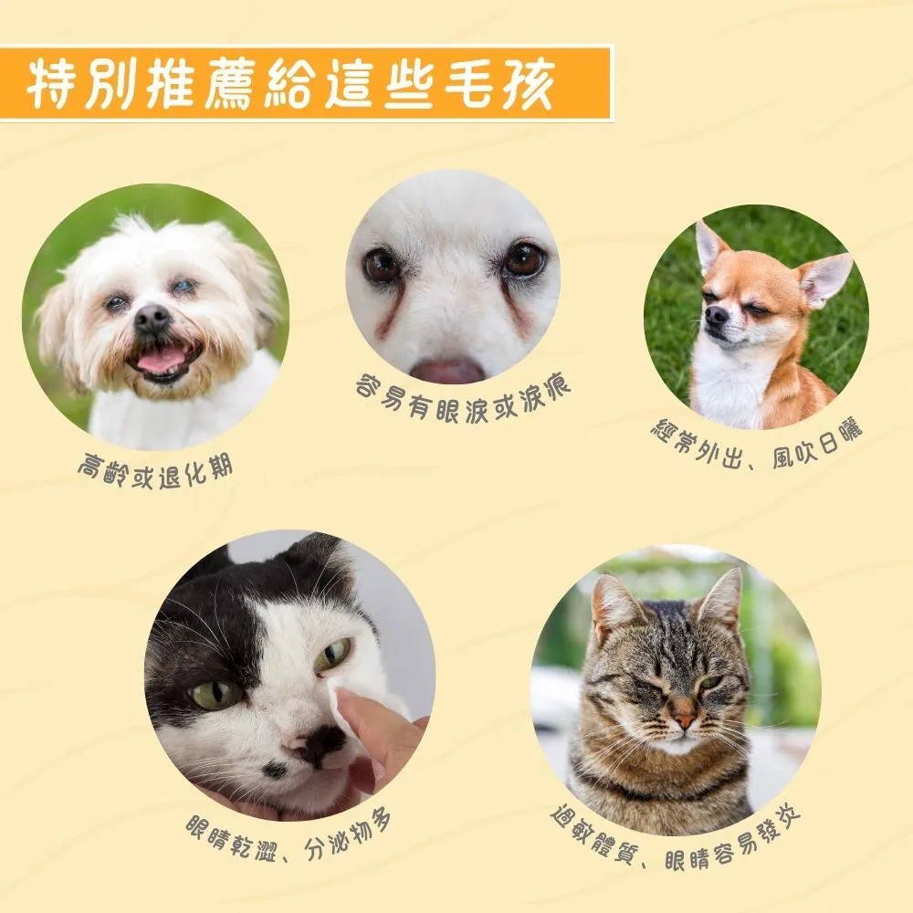 【台灣寵愛毛毛・惜命命護眼保健】