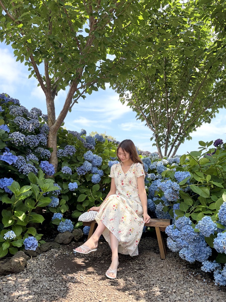 Premium Embroidered Floral Dress