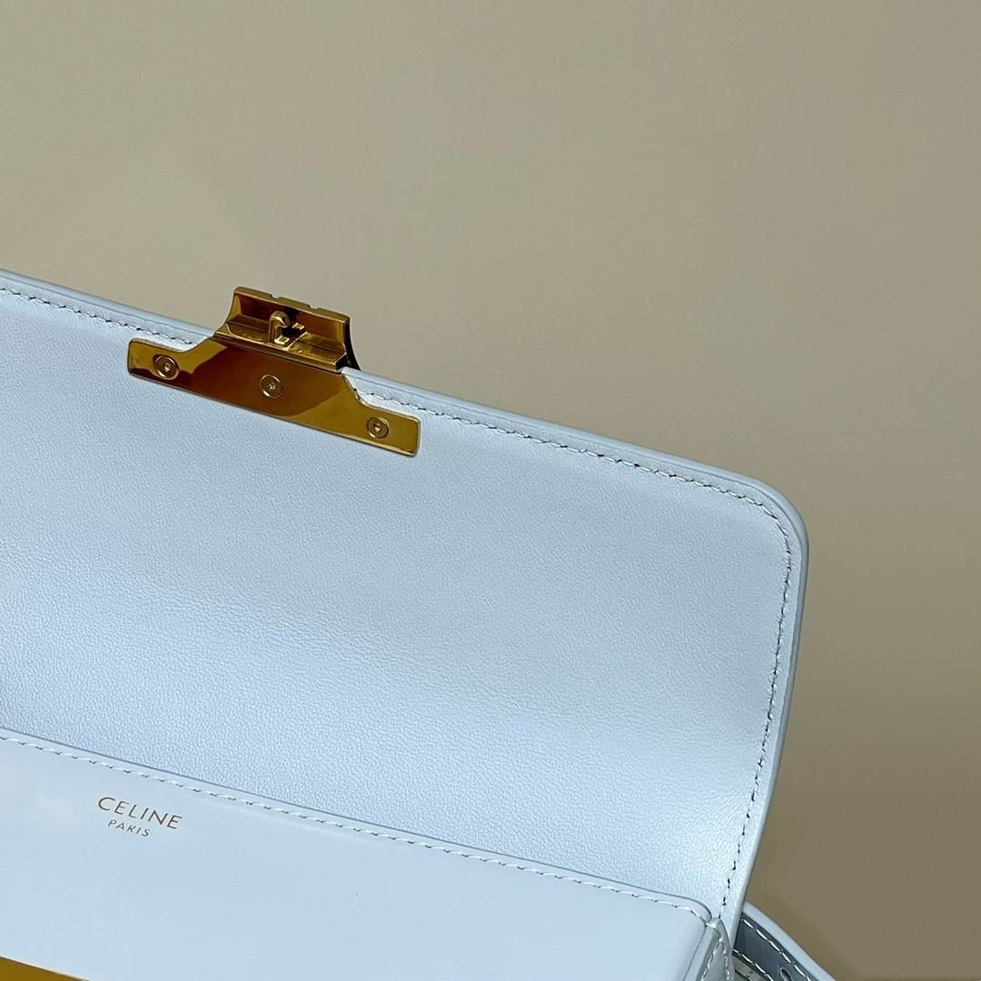 🔥大货实拍图 𝗖𝗘𝗟𝗜𝗡𝗘 ♥ 𝗧𝗥𝗜𝗢𝗠𝗣𝗛𝗘 𝗦𝗛𝗢𝗨𝗟𝗗𝗘𝗥 𝗕𝗔𝗚 型号：194143 尺寸：20*10*4cm