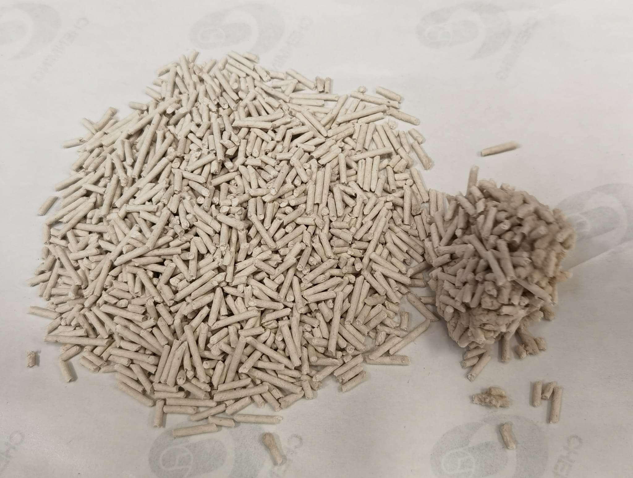 寶獅 優質豌豆纖維 豆腐貓砂 6L (綠茶味）
