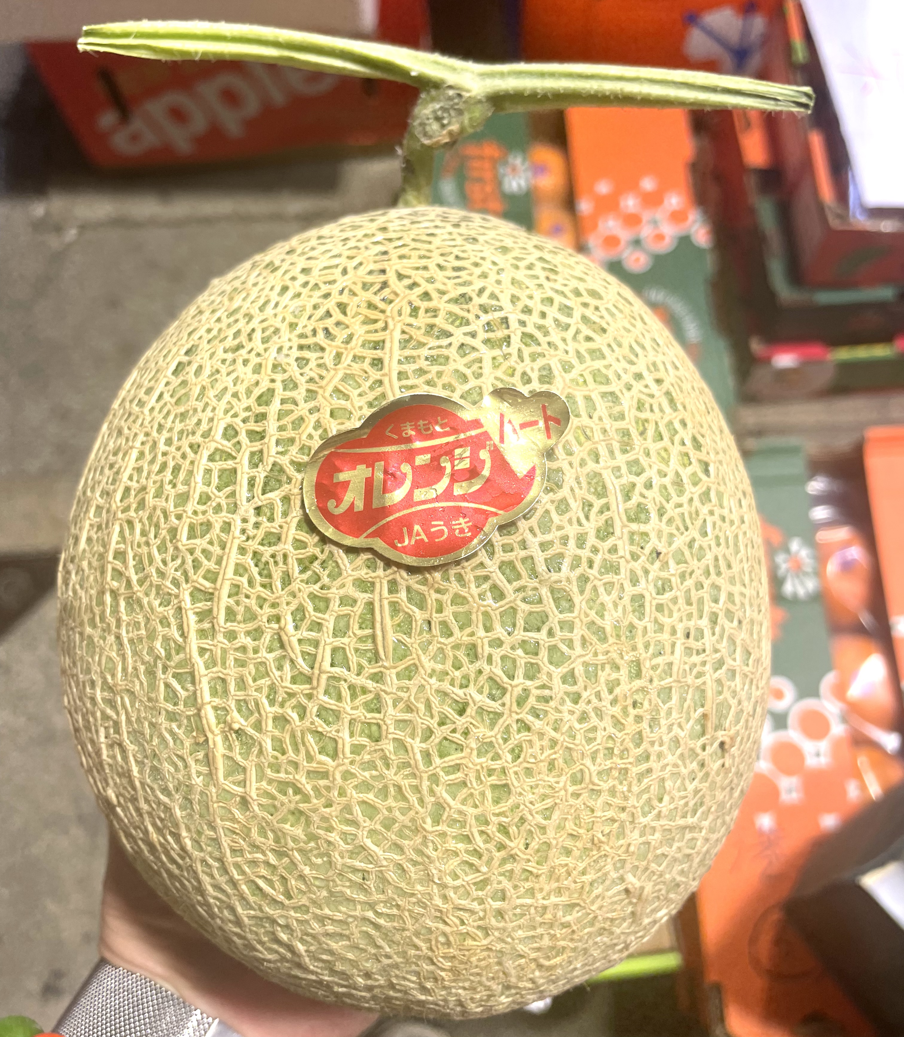 特大4L級熊本縣🇯🇵【熊本の赤肉蜜瓜🍈】