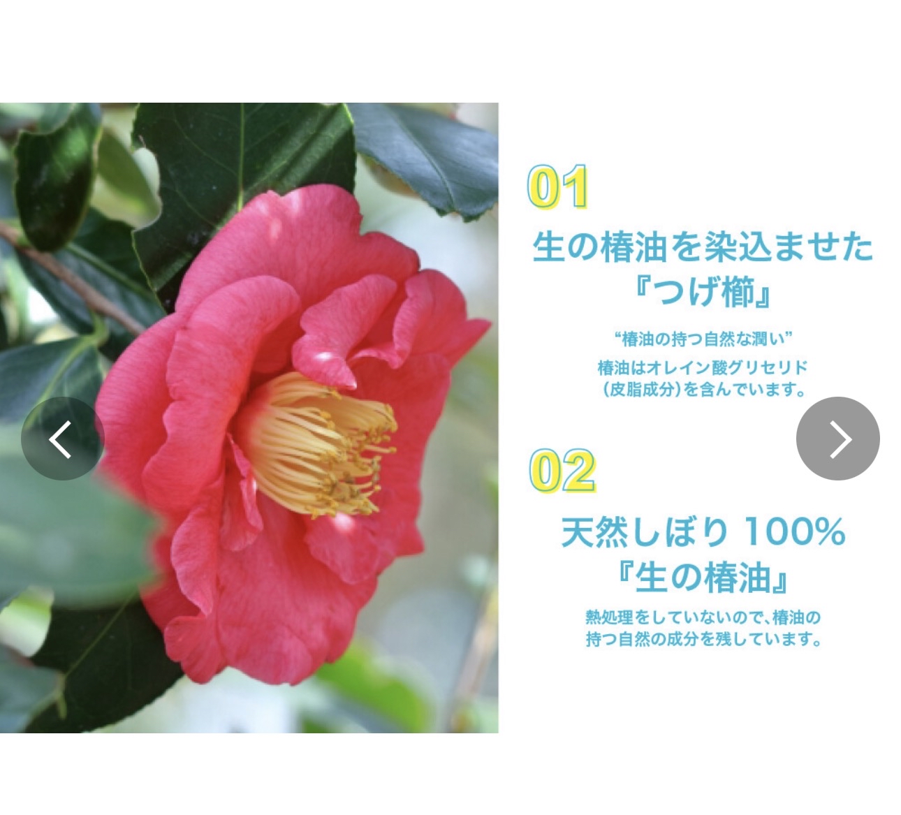 日本山茶精油梳子
