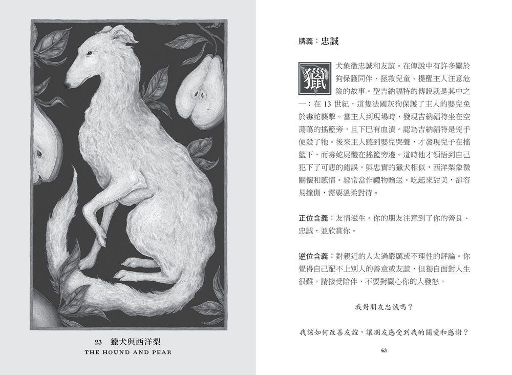 森林守護者神諭卡