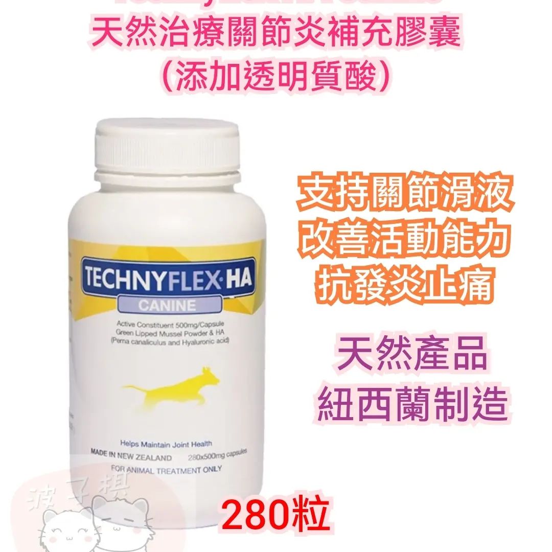 Technyflex canine best sale