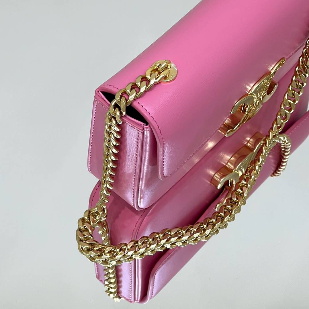 🔥大货实拍图 𝗖𝗘𝗟𝗜𝗡𝗘 ♥ 𝗧𝗥𝗜𝗢𝗠𝗣𝗛𝗘链条腋下包 型号：197993 尺寸：20.5*11.5*4cm