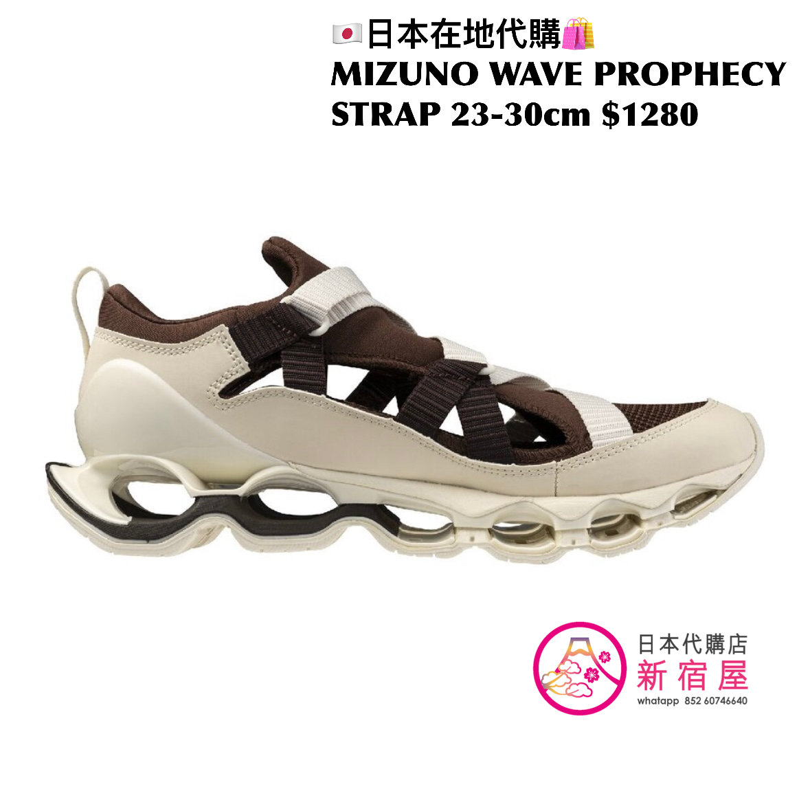 MIZUNO WAVE PROPHECY STRAP 日本限定
