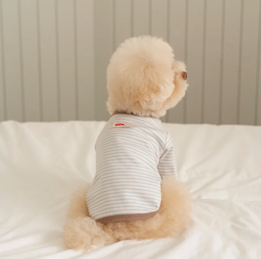 Bite Me🇰🇷SSFW Mellow Stripe T-Shirt 柔和條紋四季打底衫 (3色)