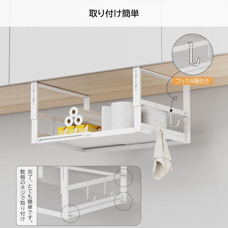 🔥🔥【日本直送《DAIWIN》可調寬度|高度掛式收納架】