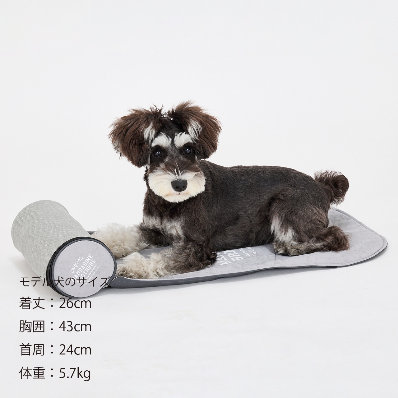 Mandarine Brothers Icy Cozy Mini Mat (寵物車涼墊)