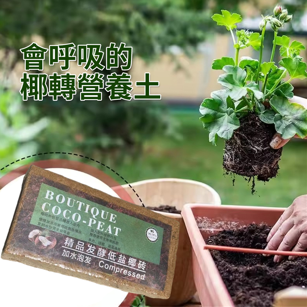 椰磚營養土 有機養花 蔬菜 多肉 壓縮椰粉磚 園藝栽培 椰糠 [平行進口] HK2740