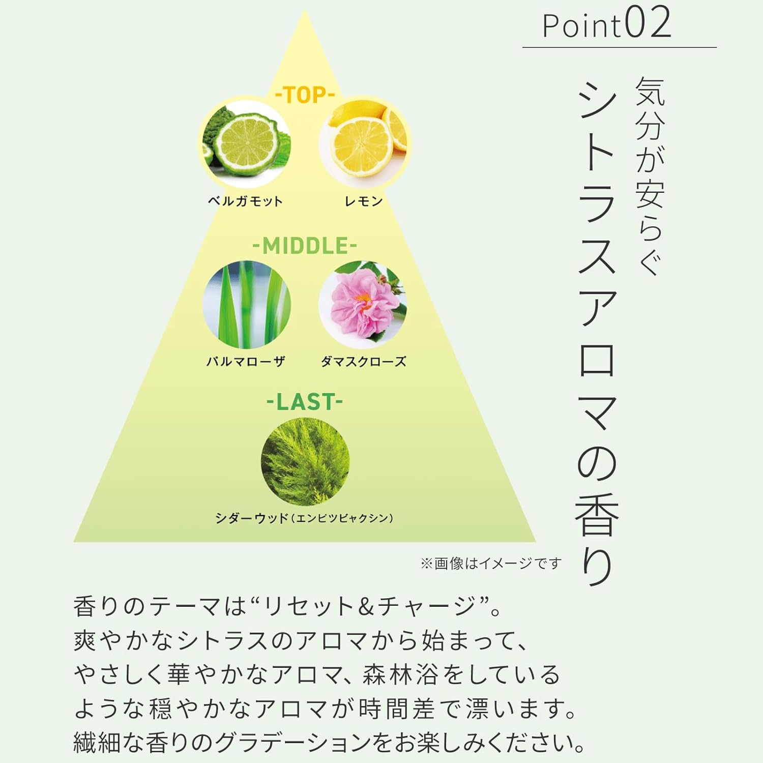 日本製  DHC Deep Cleansing Balm 深層卸妝潔顏膏 90g