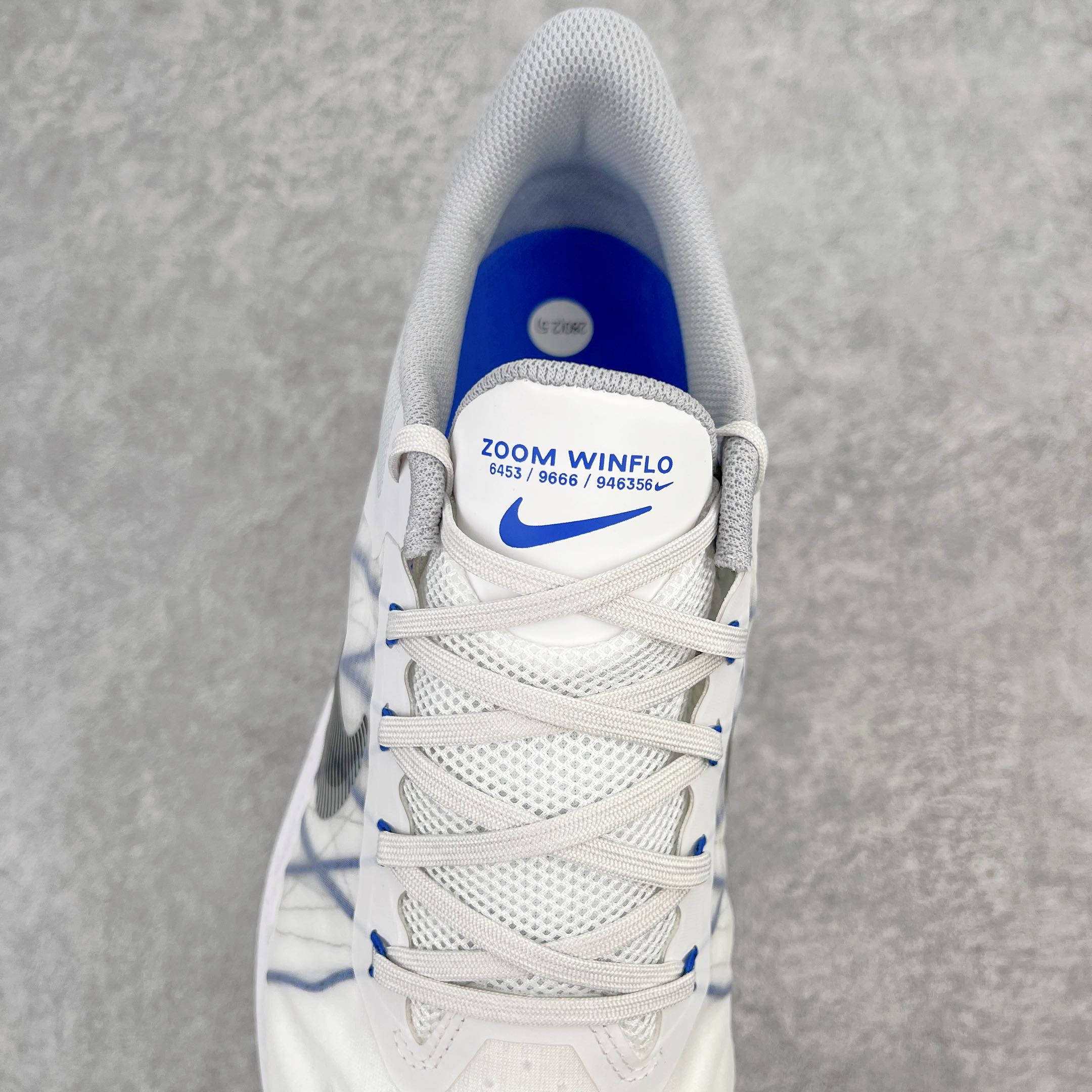 Nike Zoom Winflo 8 CW3419-008  