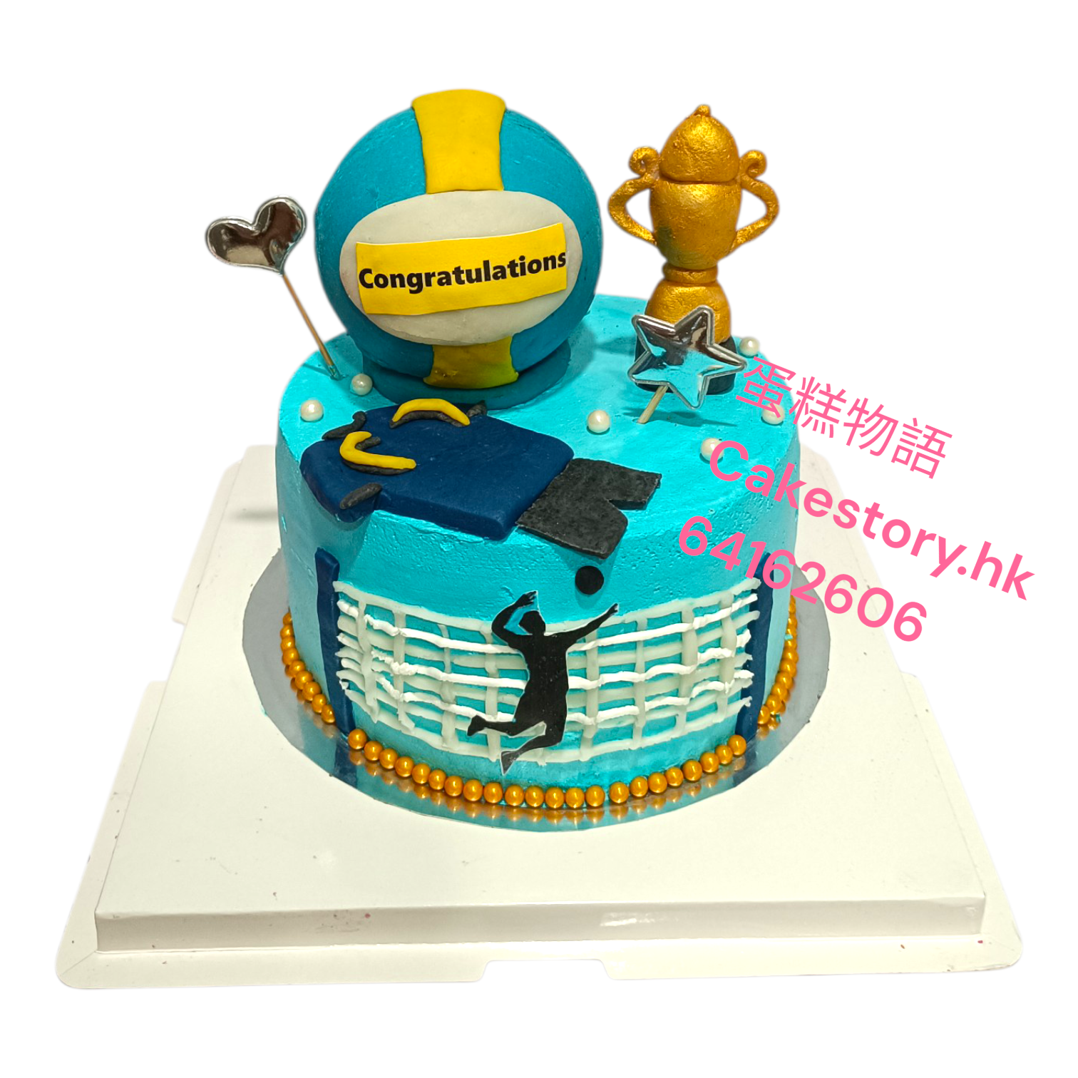 S646. . 排球蛋糕
