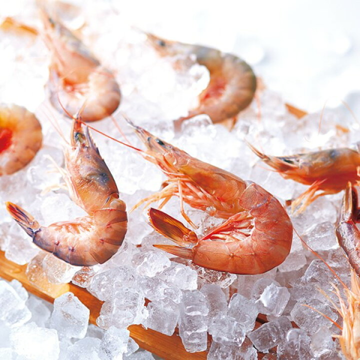 日本直送 🦐【百年經典】坂角總本舖「緣」手工蝦餅