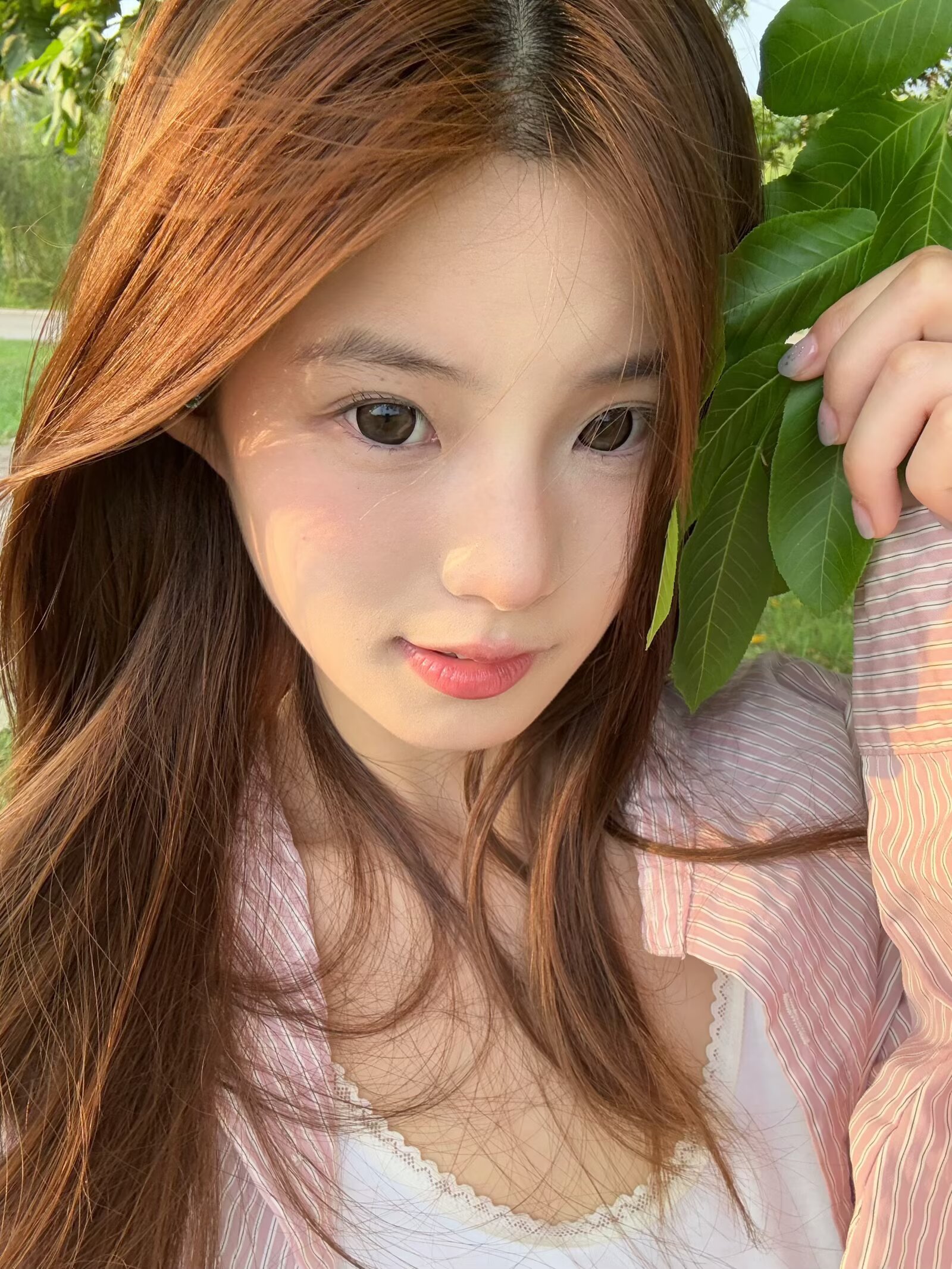 Macycon 月拋 芝士小狗/可愛比熊/萌萌貴賓