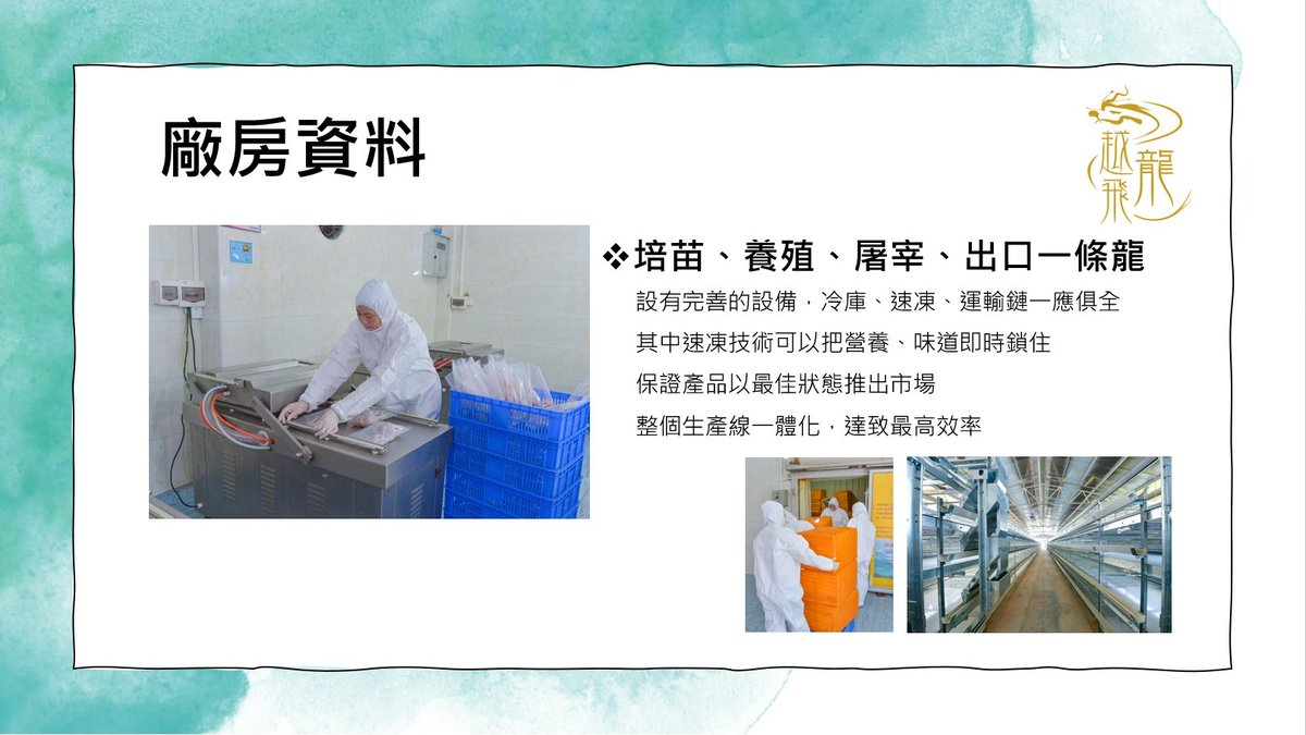 越飛龍甘氏無激素 鷓鴣皇 (300天)