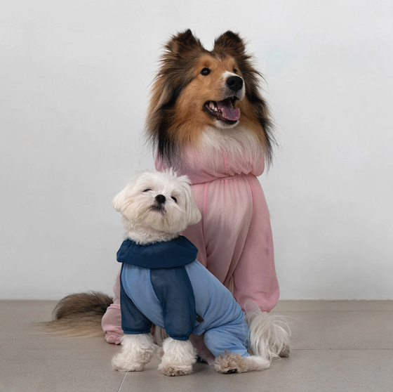 *Super Pet🇰🇷狗狗防蟲防護連身衣 (Bug Guard Suit)🐾（DG412）