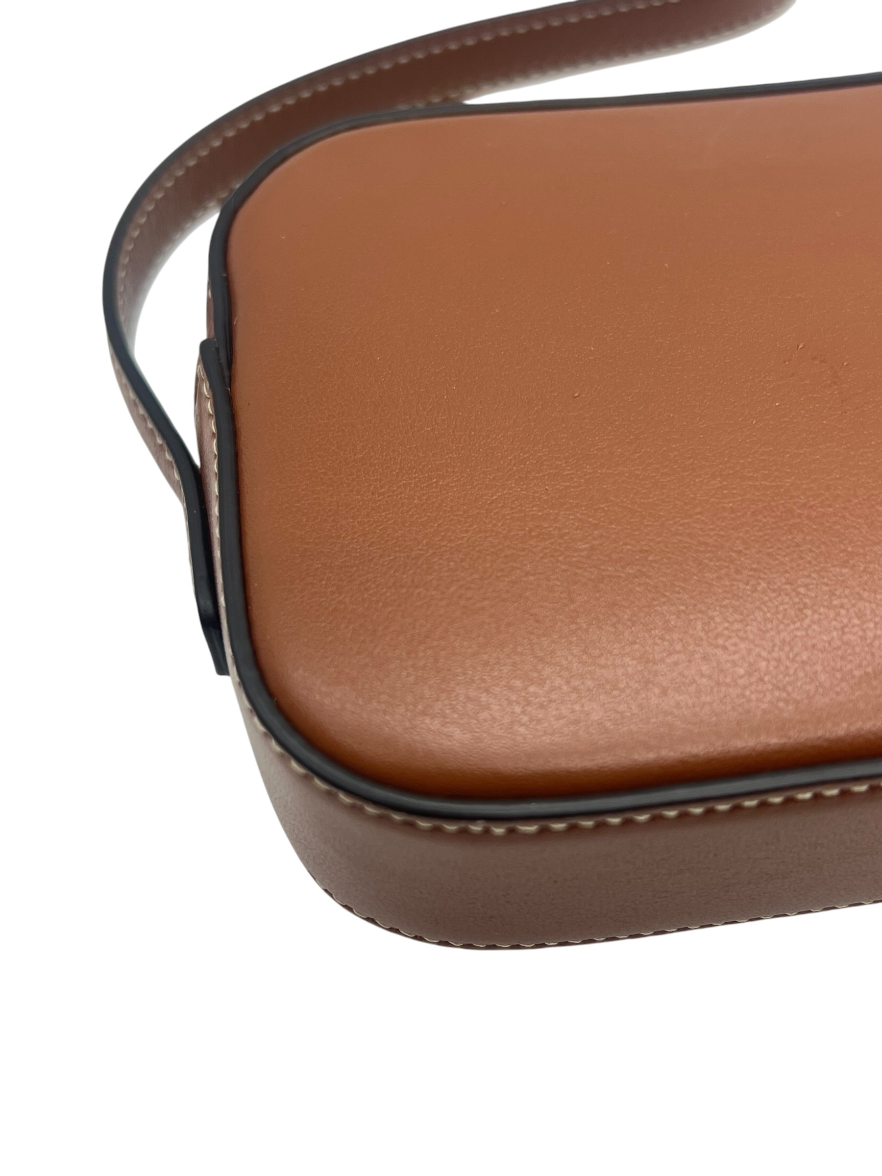 Pre-Owned CELINE Mini Triomphe Leather Shoulder Bag / Product Code: 26060605