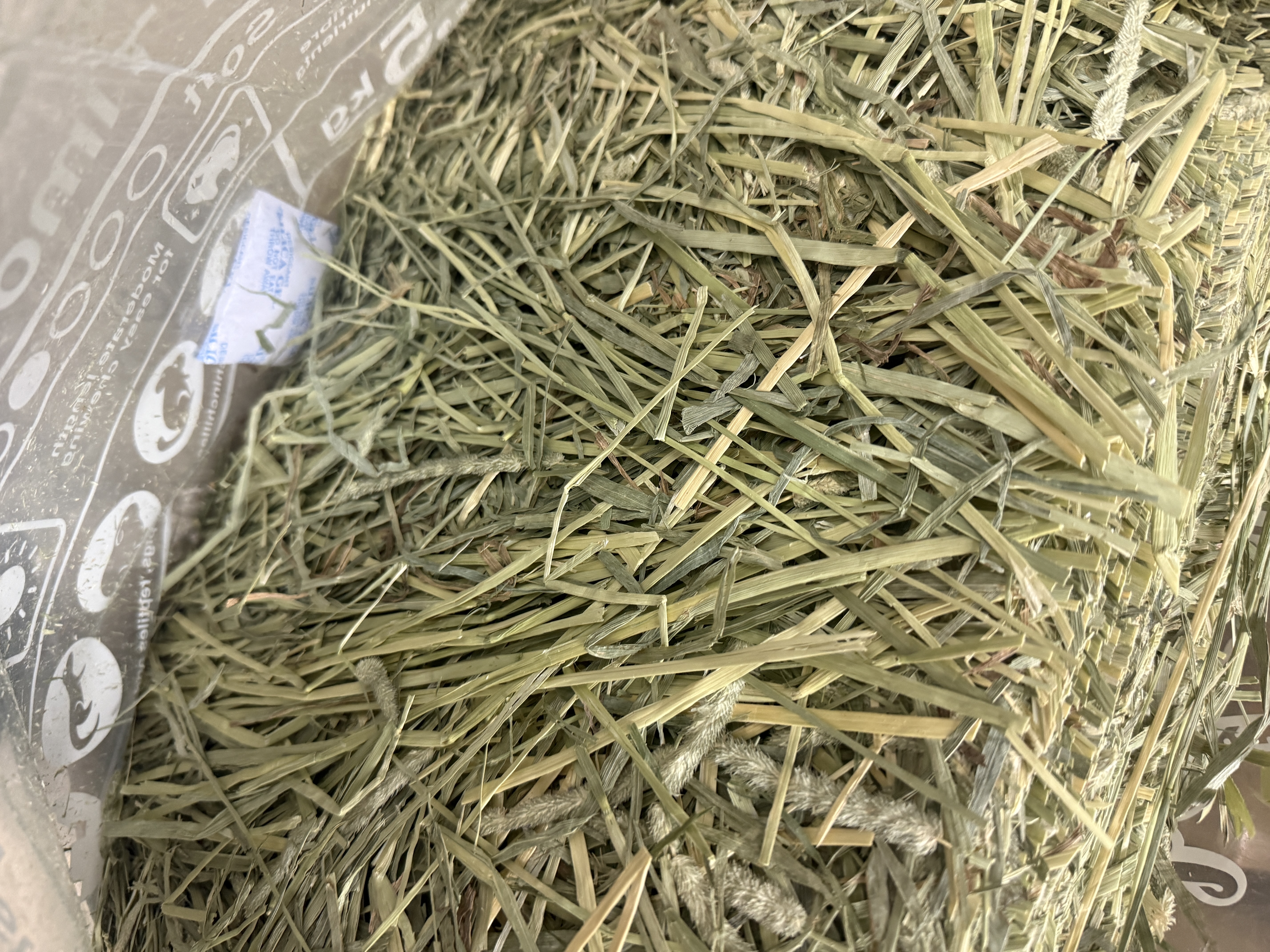 Chewbo 美國一割提摩西草2.5kg(短切)