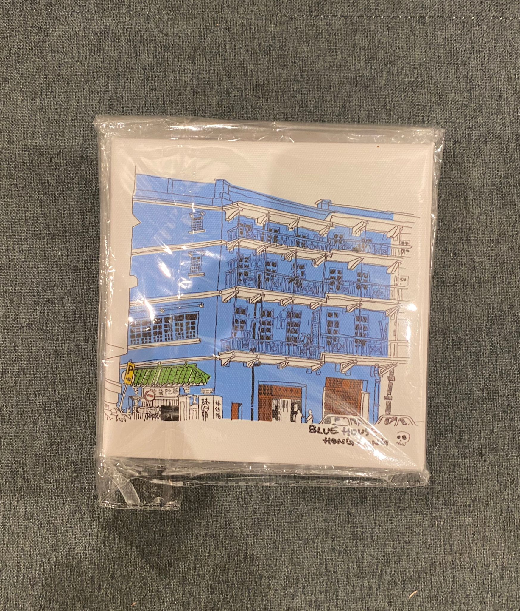 Lee Cat 15x15 canvas art print blue house
