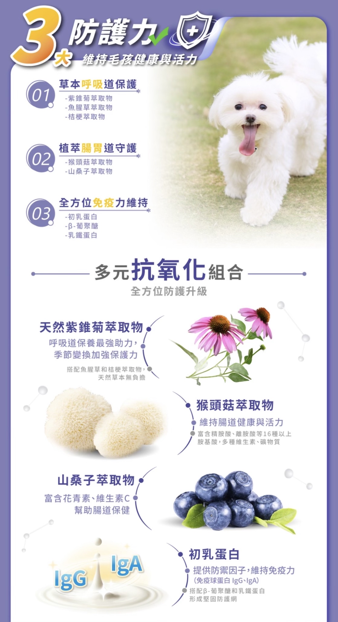 O’Life x 信元 犬貓用 紫錐菊全方位免疫保健粉｜呼吸道&腸胃保健 💟 50g/罐