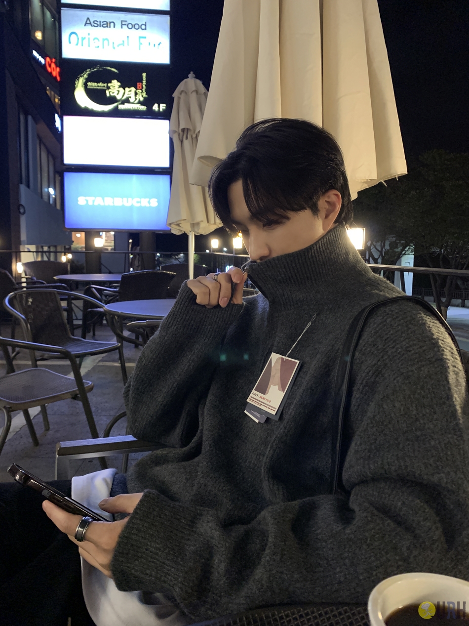 【100%保證韓國直送】高品質 YKK 拉鍊柔軟仿羊絨半拉鍊針織衫 Half Zip Knit [7 color] RL113866