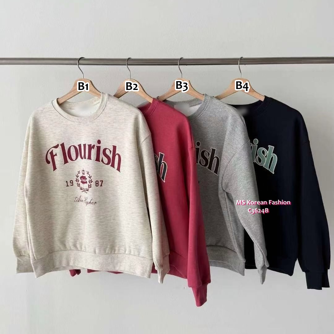 C3624 韓國🇰🇷靚色毛底衛衣