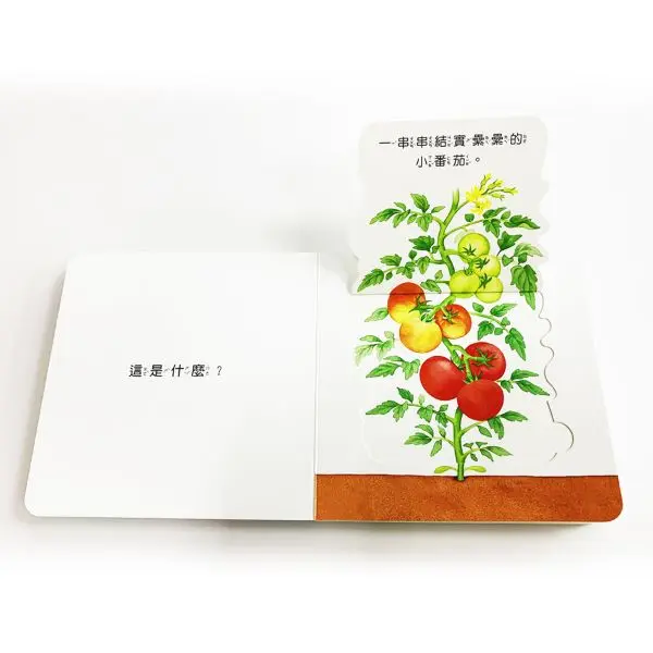好好吃的蔬菜水果食育翻翻書 (共3册)