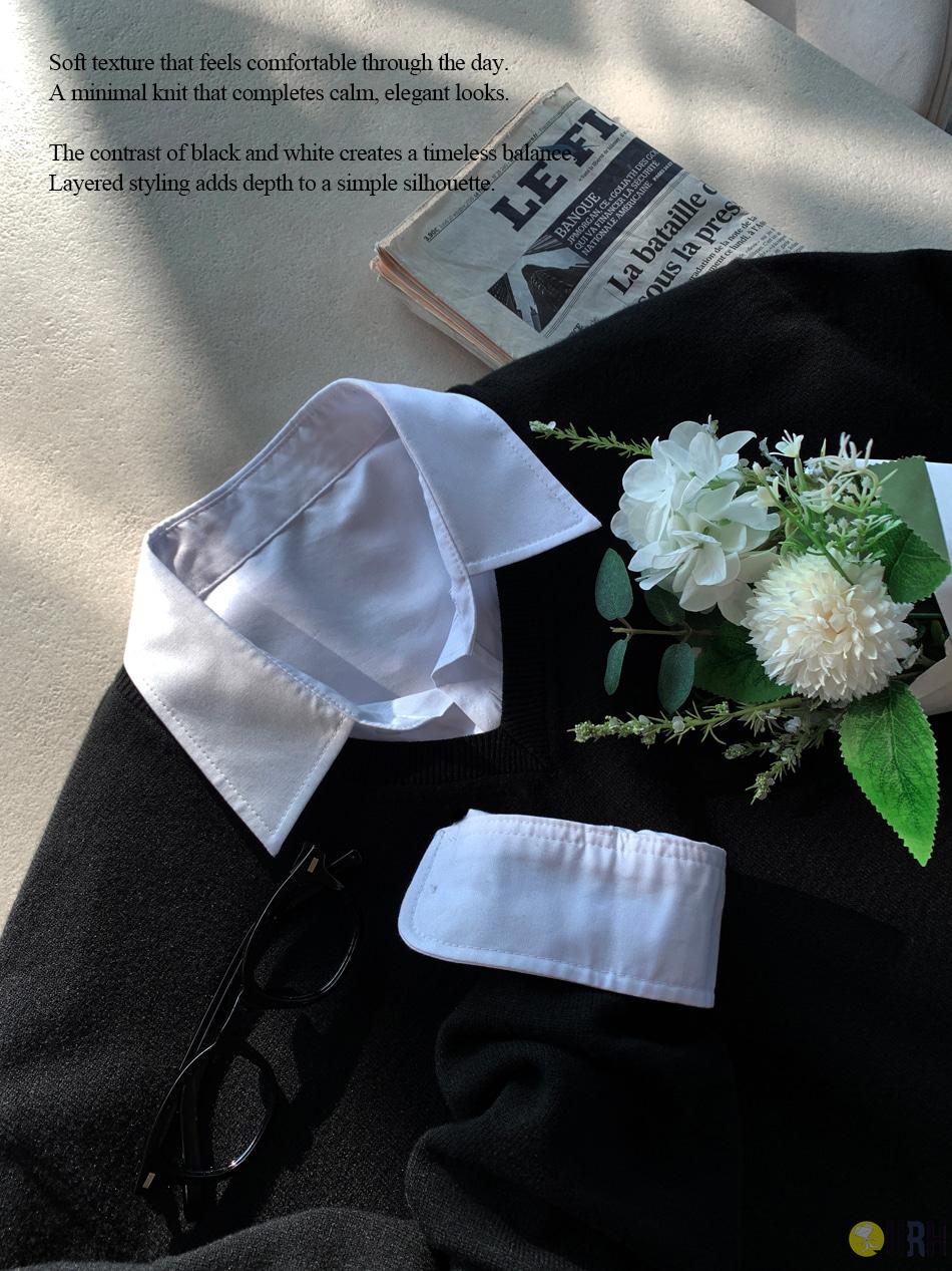 【100%保證韓國直送】極致柔軟莫代爾粘膠混紡高級感俐落 V 領針織衫 👕 [12 color] RL114863