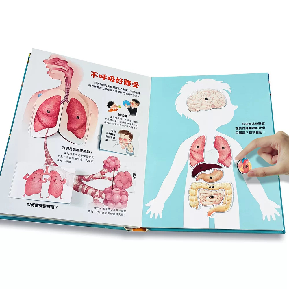 🔸預購貨品🔸身體不可思議的祕密：3D立體機關書