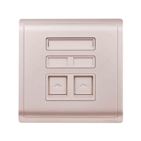 施耐德 Pieno 沉醉金 孖位 CAT5E數據插座