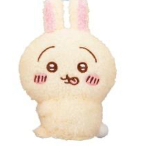 Chiikawa 磁石公仔（可能沒原袋）｜特價品滿$300包順豐自取