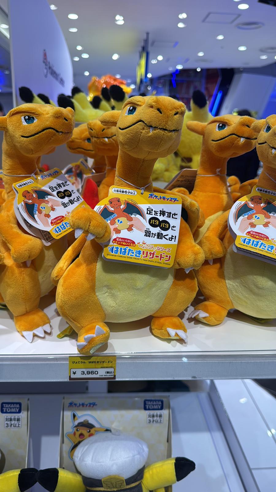 ✨連線商品需補運費✨Pokemon 寶可夢 可拍翼噴火龍互動毛公仔